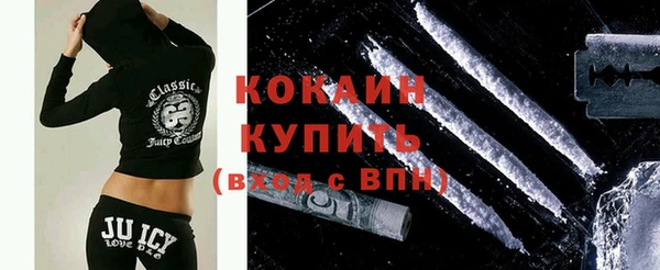 шишки Вязники