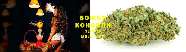соль ск Вязьма