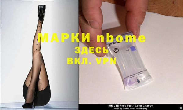 шишки Вязники