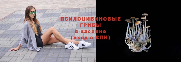 МДМА Вяземский