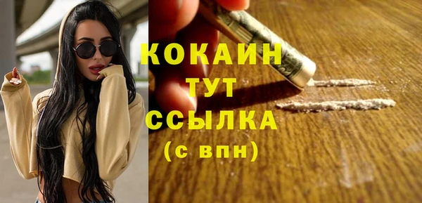 соль ск Вязьма